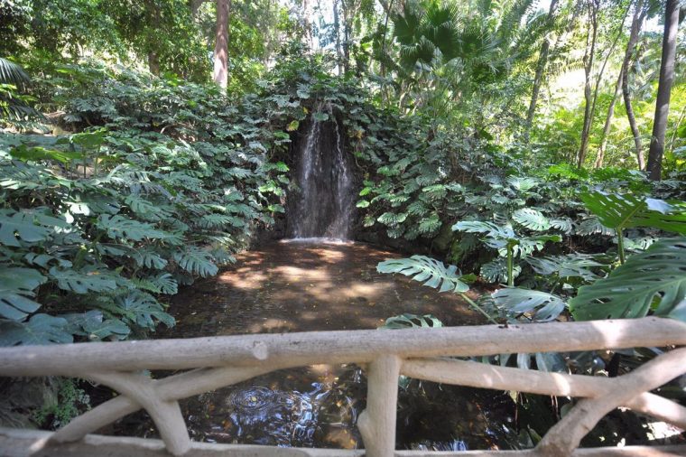 El Jardín Botánico De La Concepción De Málaga Cierra 2017 … concernant Jardin Botánico Malaga