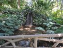 El Jardín Botánico De La Concepción De Málaga Cierra 2017 ... pour Jardin Botanico De La Concepcion