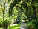 El Jardín Botánico De Loja | By Angie avec Jardin Botanico Tarifas