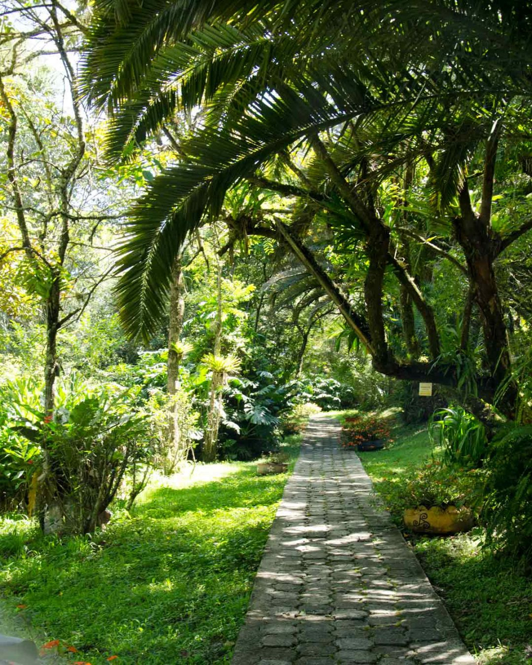 El Jardín Botánico De Loja | By Angie avec Jardin Botanico Tarifas