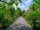 El Jardín Botánico De Padua, Una Joya De La Humanidad — Mi ... à El Jardin Botanico Cartagena