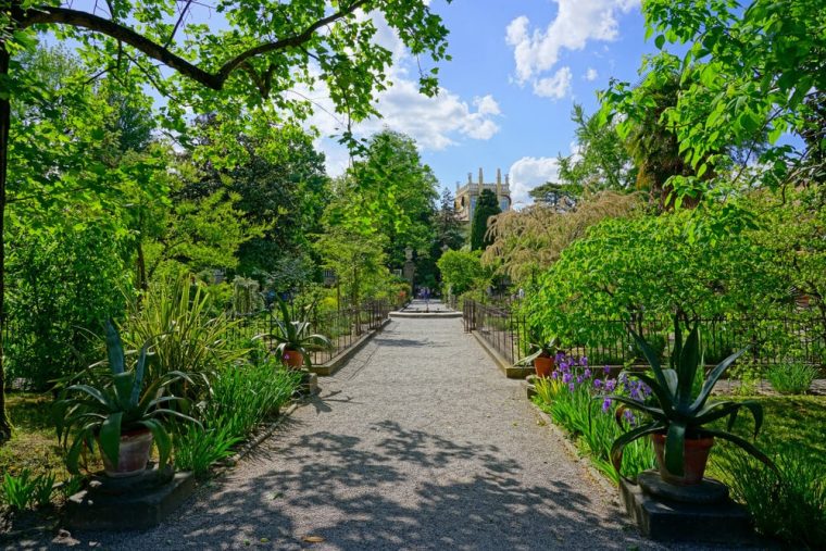 El Jardín Botánico De Padua, Una Joya De La Humanidad — Mi … à El Jardin Botanico Cartagena