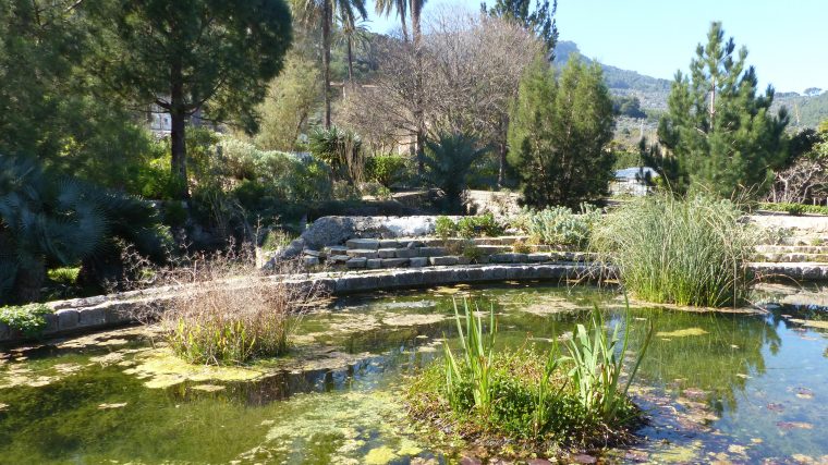 El Jardín Botánico De Soller – El Blog De Eloísa pour Jardin Botanico Dunas Del Odiel