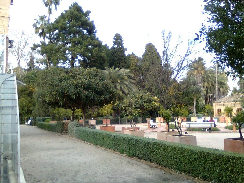 El Jardín Botánico De Valencia intérieur Valencia Jardin Botanico