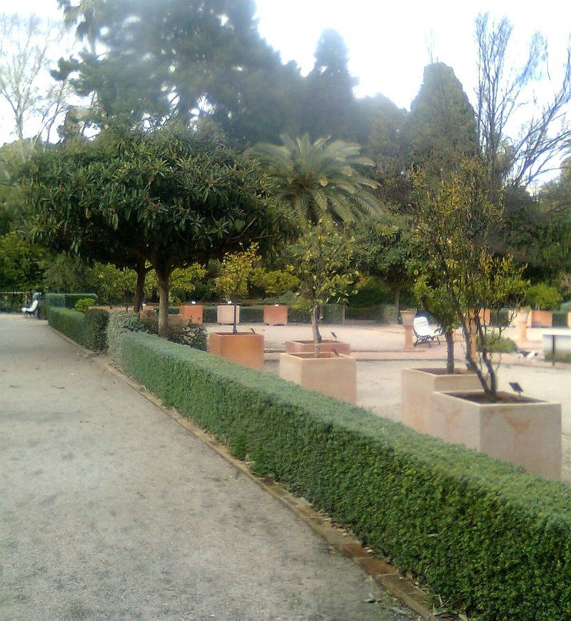 El Jardín Botánico De Valencia tout Valencia Jardin Botanico