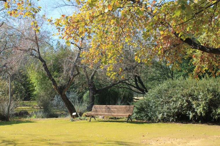 El Jardín Botánico El Arboreto Permanecerá Cerrado Del 14 … destiné Horario Jardin Botanico