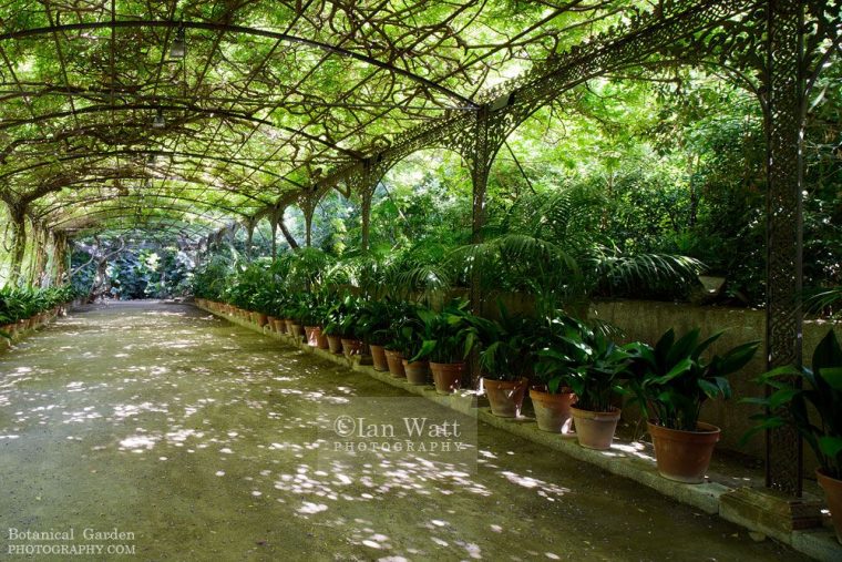 El Jardín Botánico – La Concepción Malaga | Garden, Places … encequiconcerne Jardin Botanico La Concepcion Malaga