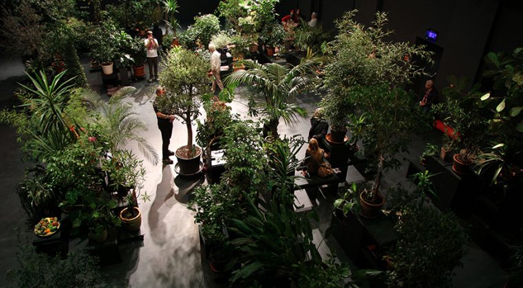 El Jardín Colectivo 'Garden State' Toma El Teatro Del … encequiconcerne El Jardin Secreto Conde Duque