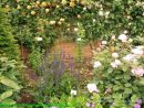 El Jardín De La Alegría : Rosas Y Rosales Ingleses De ... à Jardines Con Rosales