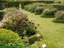 El Jardín De La Alegría : Rosas Y Rosales Ingleses De ... concernant Flores En El Jardin