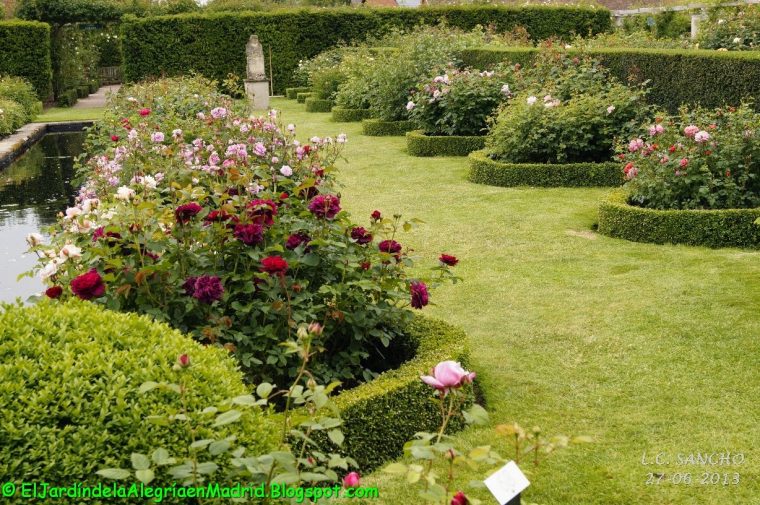 El Jardín De La Alegría : Rosas Y Rosales Ingleses De … concernant Flores En El Jardin