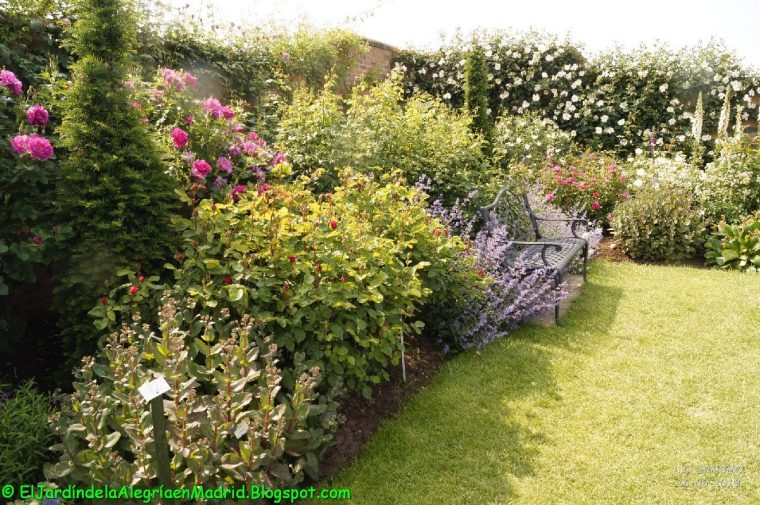 El Jardín De La Alegría : Rosas Y Rosales Ingleses De … tout Jardines Con Rosales