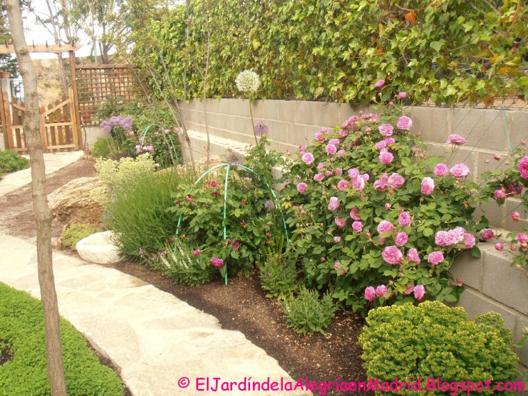 El Jardín De La Alegría : Un Soporte De Urgencia Para … destiné Jardines Con Rosales