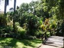 El Jardín De La Barrosa: Jardines Tropicales: El Jardín ... intérieur Jardines Tropicales