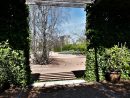 El Jardín De Las Hespérides - Valencia | El Jardín De Las ... serapportantà Jardin Des Hespérides Cassis