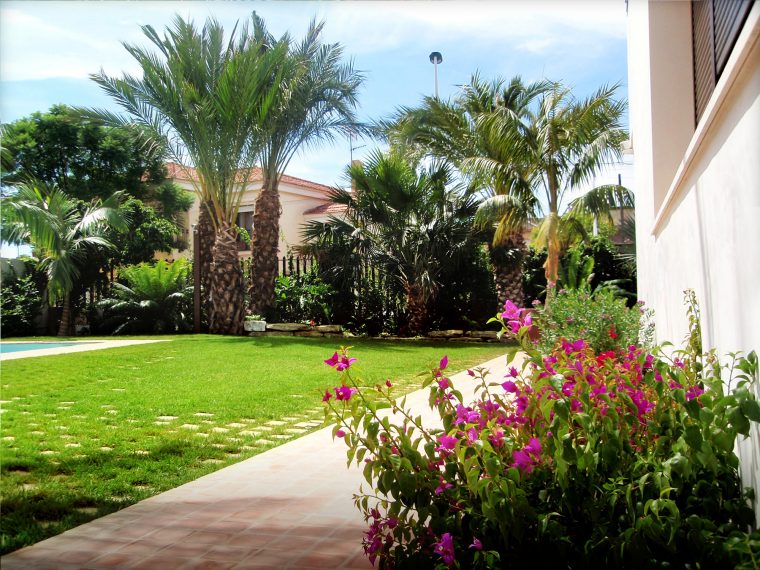 El Jardín De Toñi Y Juan En Elche. Jardín Mediterráneo … avec Paisajismos En Jardines