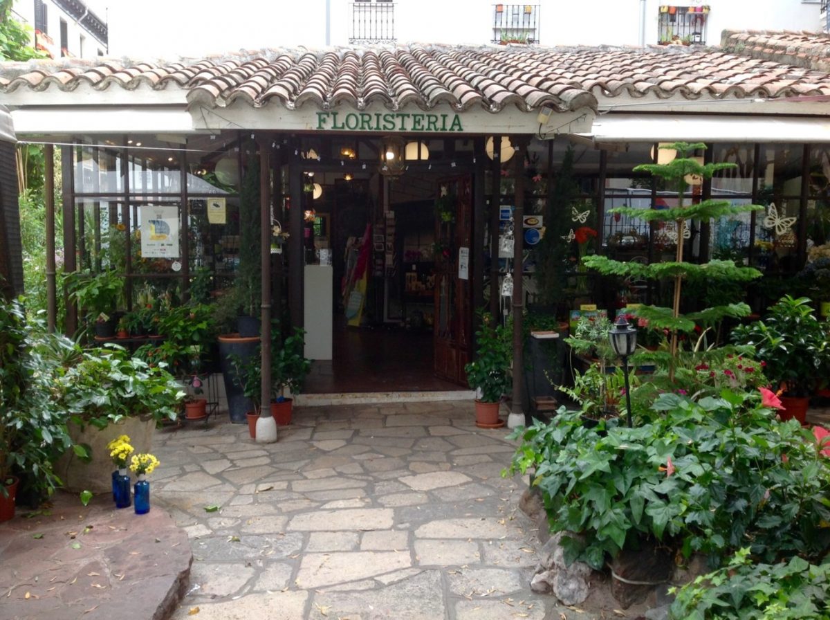 El Jardín Del Angel, Una Floristería De Ensueño En Medio ... tout Floristeria El Jardin