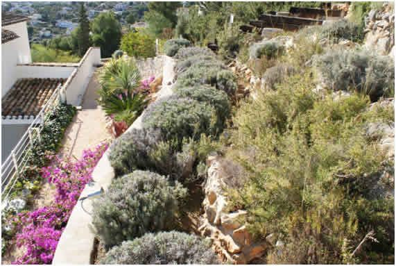 El Jardín Mediterráneo. Diseño, Mantenimiento Y Paisajismo … concernant Jardin Mediterraneo Diseño