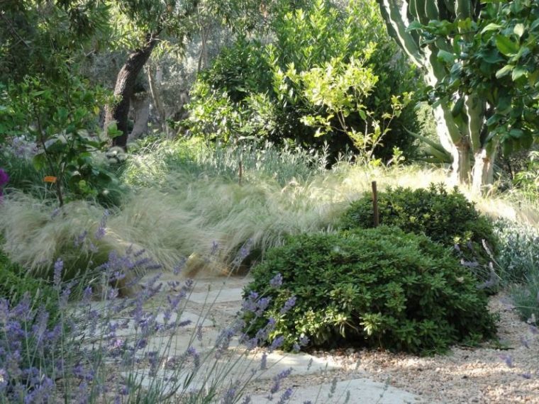 El Jardín Mediterráneo Ecoeficiente – Guia De Jardin … à Plantas Para Jardin Mediterraneo