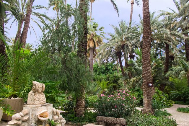 El Palmeral De Elche: Rmación Práctica Para La Visita serapportantà Ciudad Jardin Elche