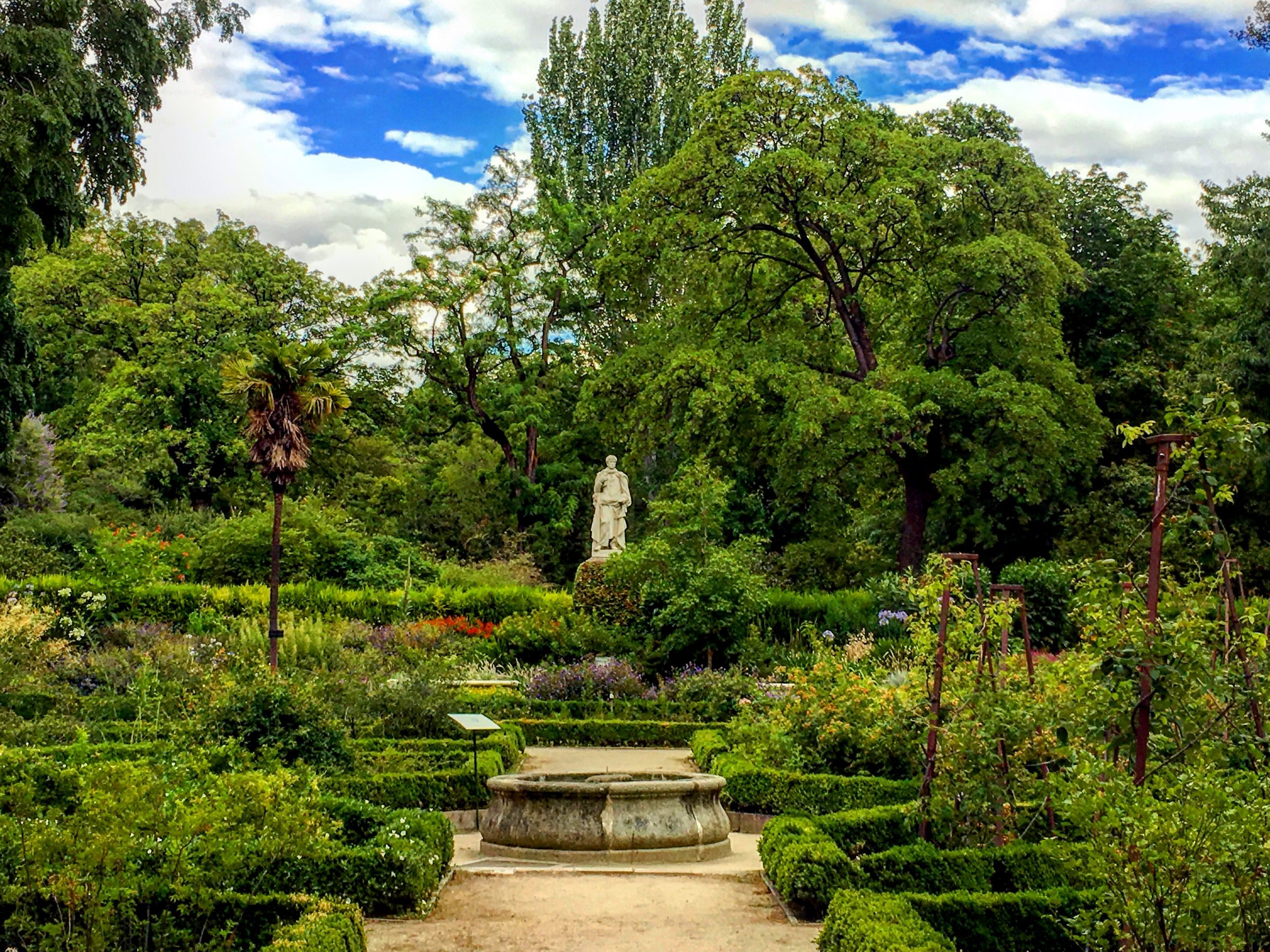 El Real Jardín Botánico De Madrid | Secretos De Madrid dedans Plantas De Jardin Botanico