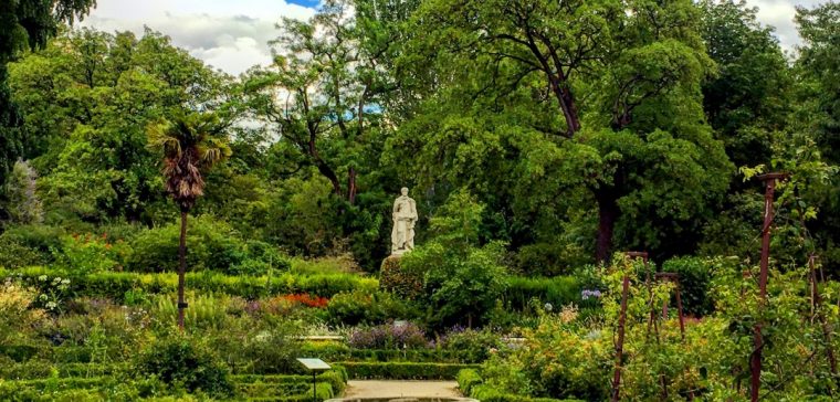 El Real Jardín Botánico De Madrid – Secretos De Madrid destiné Real Jardin Botanico Precio