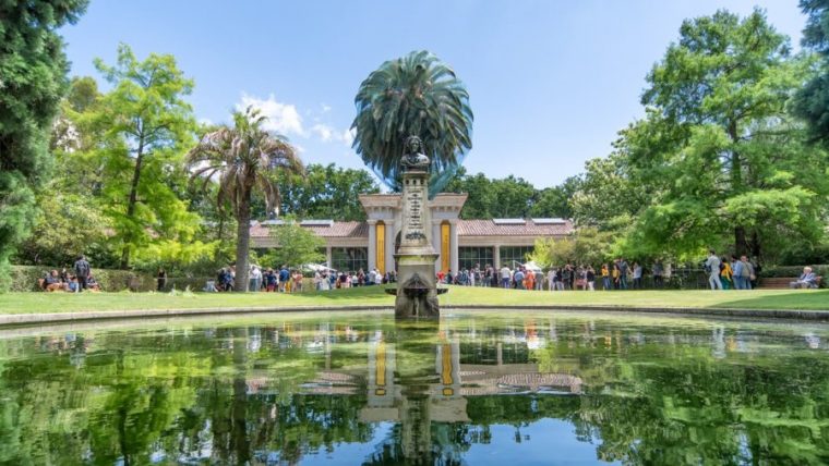 El Real Jardín Botánico Llama A Preservar Nuestros Árboles … avec El Jardin Botanico Madrid