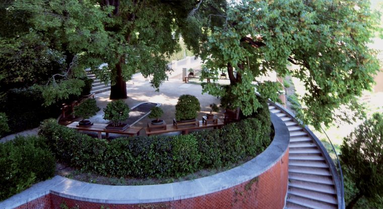 El Tim Bonsai: Mmba: Visitas Obligadas. Museo Real Jardin … dedans El Jardin Botanico De Madrid