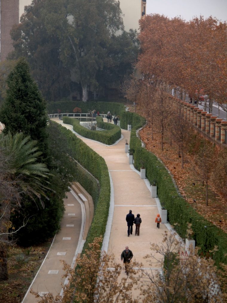 El Tim Bonsai: Mmba: Visitas Obligadas. Museo Real Jardin … destiné Real Jardin Botanico De Madrid