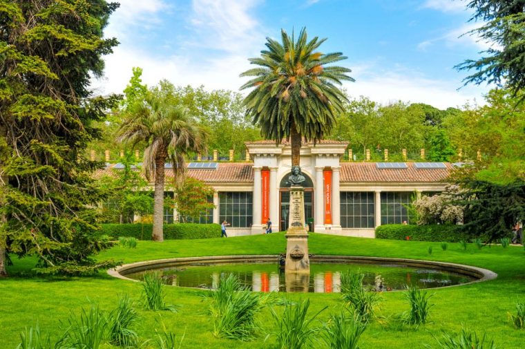 El Verano 2020 En El Botánico De Madrid – Easyviajar serapportantà Real Jardín Botánico Madrid