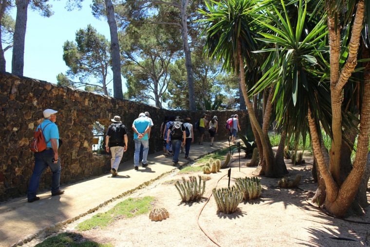 Els Amics De La Flor Visiten Els Jardins De Cap Roig | Web … destiné Jardin Botanico Cap Roig