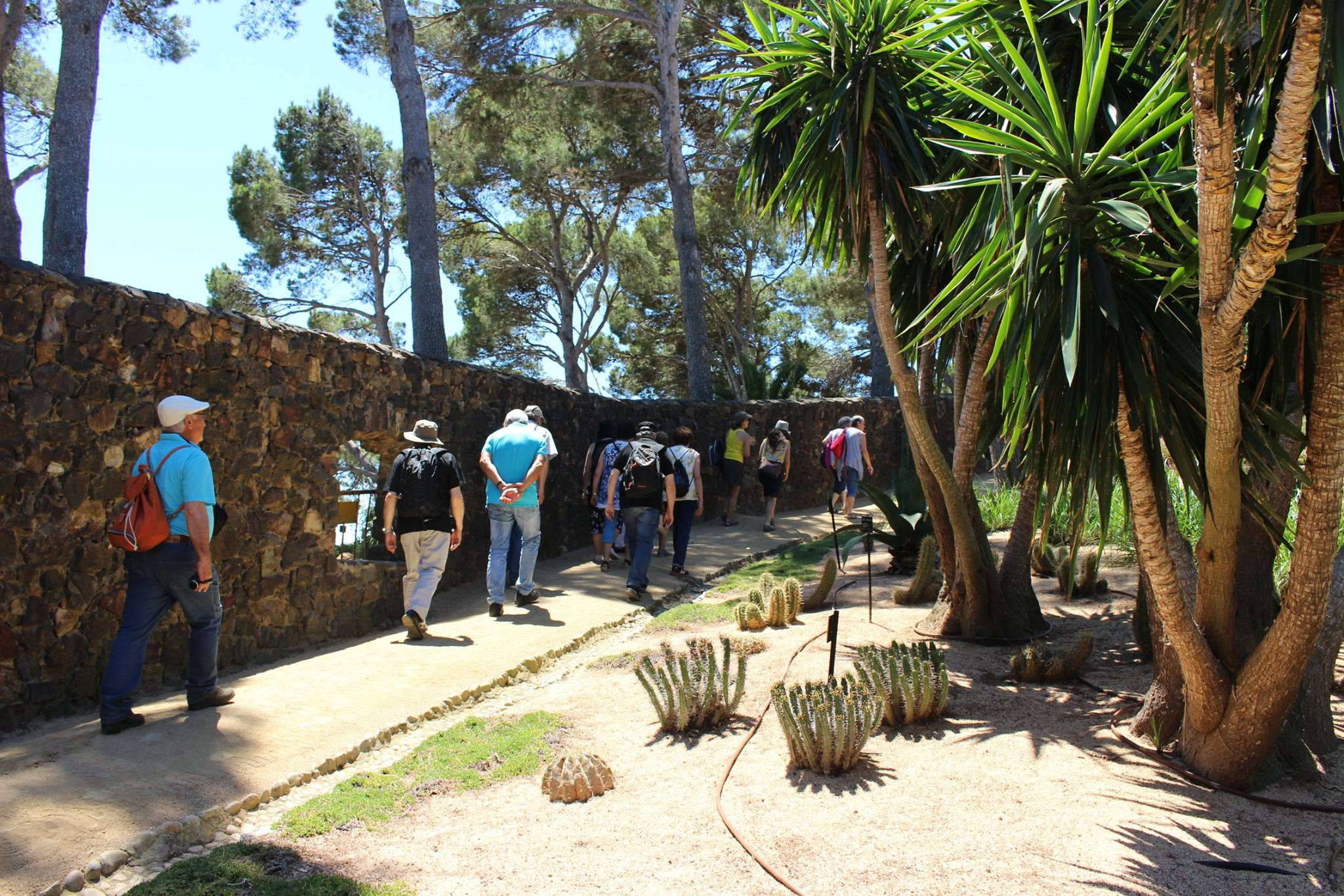 Els Amics De La Flor Visiten Els Jardins De Cap Roig | Web ... destiné Jardin Botanico Cap Roig