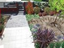 Empezar A Planificar Nuestro Jardín: Ayuda | Página 59 serapportantà Como Planificar Un Jardin