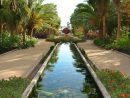 En El Jardín Botánico De Culiacán Podrás Disfrutar De ... encequiconcerne El Jardin Botanico Cartagena