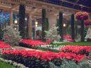 Espectaculares Jardines Navideños - Dale Detalles pour Jardines Espectaculares