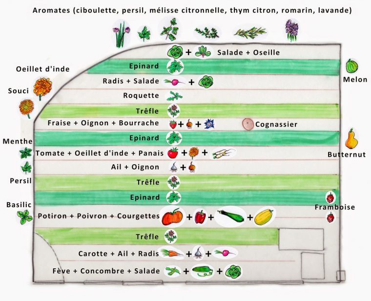 Exemple Plan Potager Permaculture – Idees Conception … concernant Plan Jardin Potager
