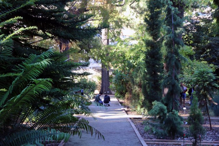 Experiencias De Un Divulgador En El Jardín Botánico … destiné Jardin Botanico Definicion