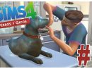 🐶 Los Sims 4 | Perros Y Gatos | Ep: 2 - pour Los Sims 2 Mansiones Y Jardines