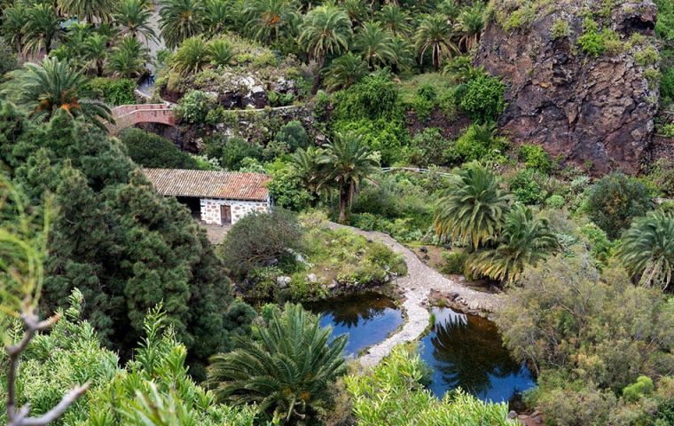 Flora De Las Islas Canarias. Jardín Botánico Viera Y Clavijo serapportantà Jardin Botanico Gran Canaria