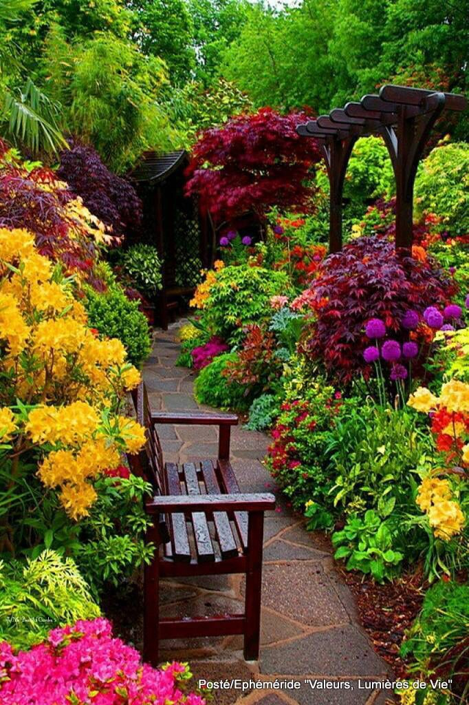 Flores | Most Beautiful Gardens, Beautiful Gardens ... avec Fotos De Flores De Jardin