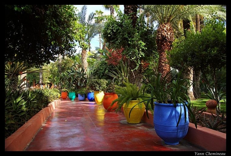 Florilège: Le Jardin Majorelle – Marrakech serapportantà Les Jardins De Villa Maroc