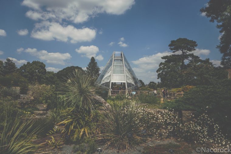 Foto — Fotos: Jardín Botánico De Kew, Londres "Kew… destiné Jardin Botanico Londres