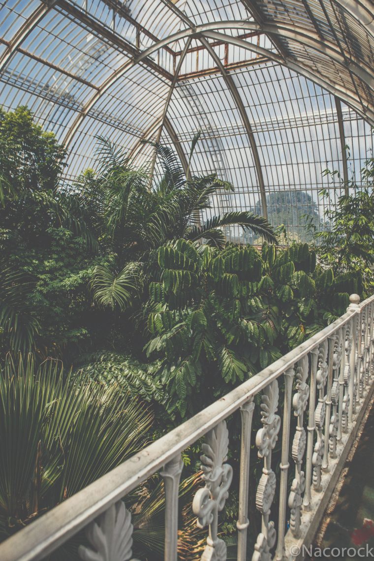 Foto — Fotos: Jardín Botánico De Kew, Londres "Kew… serapportantà Jardin Botanico De Kew