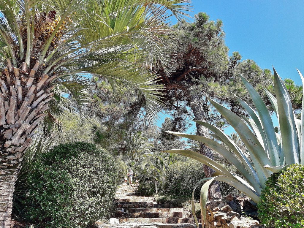 Foto: Jardín Botánico - Blanes (Girona), España concernant Blanes Jardin Botanico