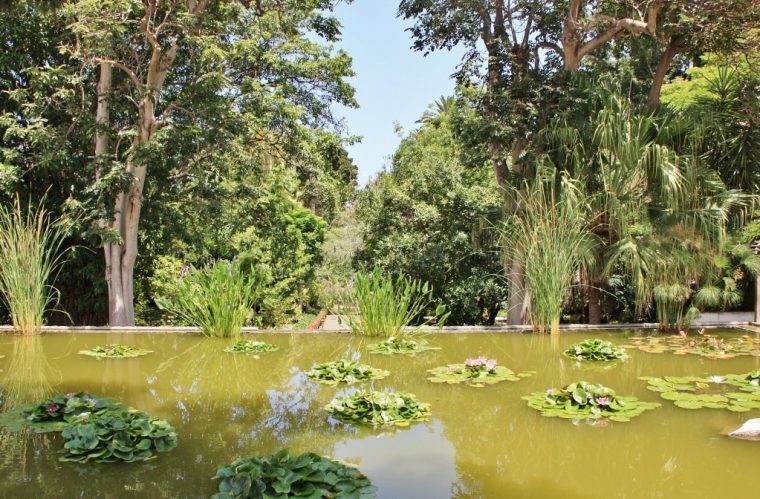 Foto: Jardin Botanico – Puerto De La Cruz (Santa Cruz De … tout Jardin Botanico De Albacete