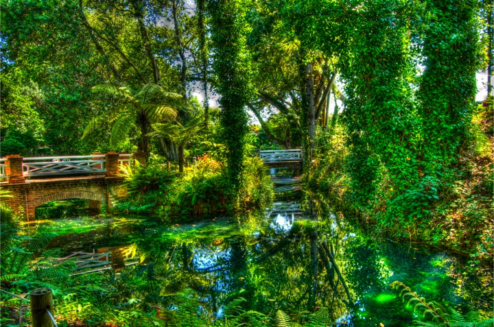 Fotografía Y Filatelia: Visita Al Jardín Botánico … serapportantà Gijon Jardin Botanico
