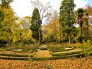 Fotografiarayodeluna.- Viajes, Senderos, Montaña Y ... avec Entrada Jardin Botanico Madrid