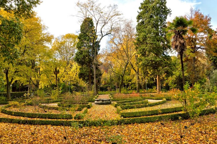 Fotografiarayodeluna.- Viajes, Senderos, Montaña Y … avec Entrada Jardin Botanico Madrid