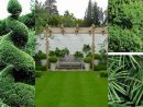Hermosos Mejores Pequeños Árboles De Jardín Para La Casa ... avec Jardin Hidroponico En Casa
