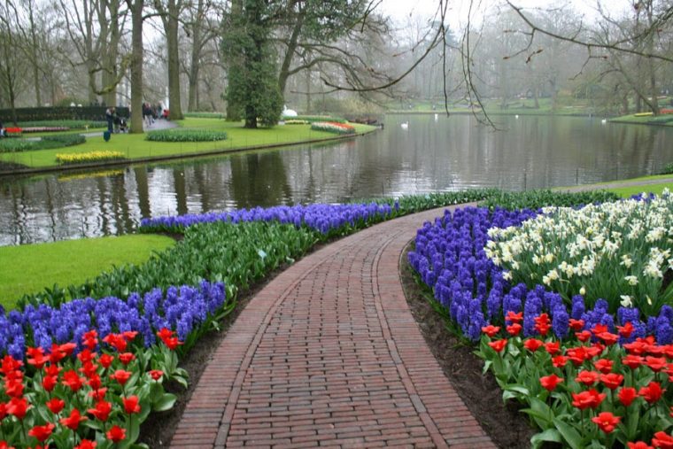 Holanda En Flor. Jardines De Keufenhof. – Viajar Sin … pour Diseño De Jardines Con Flores